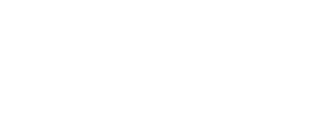 logo  BAM - Business-Alu Masu